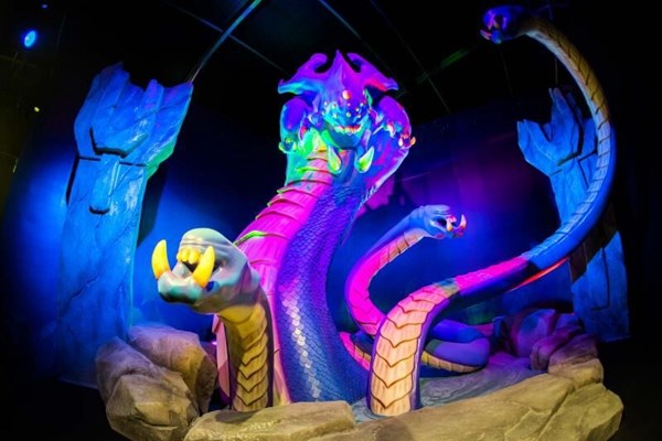 人气主播骚男即将现身英雄联盟深圳快闪店_兔